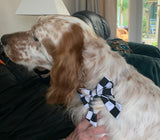 Sailor Dog Bow Tie, Slip On Collar, Black And White Check