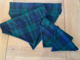 Tartan Dog Bandana Slip On Collar Design In Navy And Green