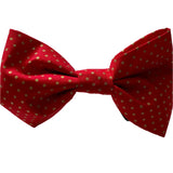 A red dog bow tie with gold spots laid out on a white surface.