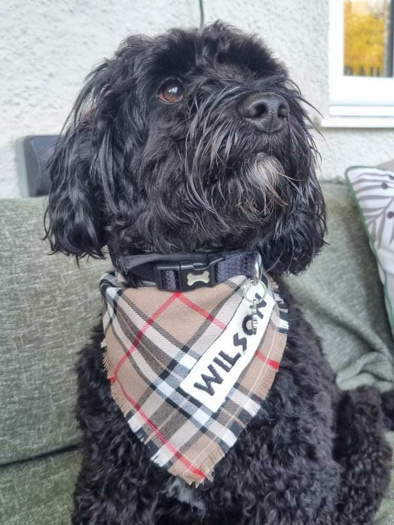 Latest additions to my online store dog bandanas and bow ties