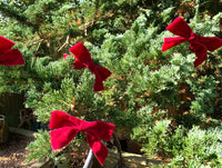 Dark Red Velvet Christmas Tree Bows, Handmade