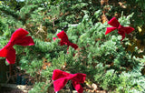 Dark Red Velvet Christmas Tree Bows, Handmade