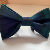 Navy and green tartan dog bow tie