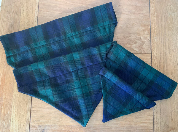 Navy and green slip on collar dog bandana available in 4 sizes.