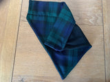 Tartan Dog Bandana Slip On Collar Design In Navy And Green